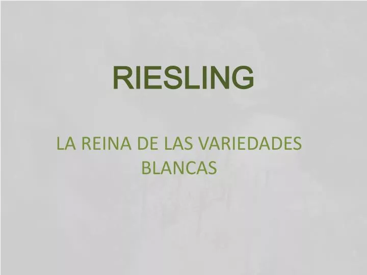 riesling