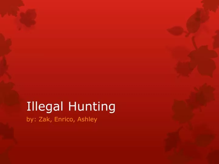 illegal hunting