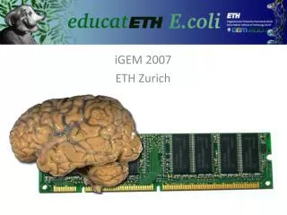 iGEM 2007 ETH Zurich