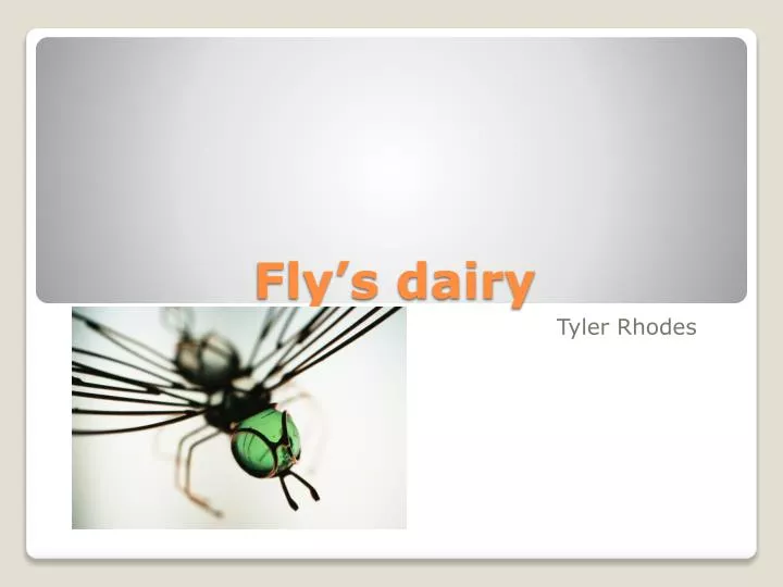 fly s dairy