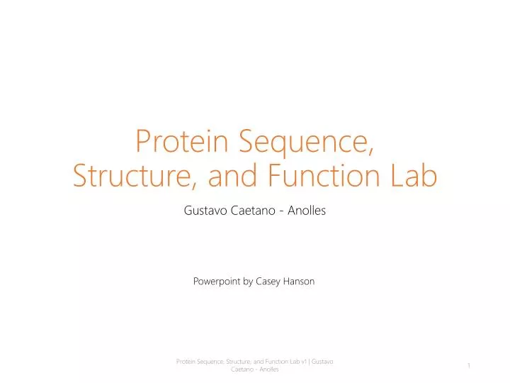 protein sequence structure and functio n lab