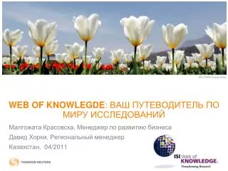 web of knowlegde