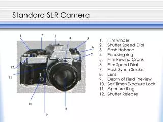 Standard SLR Camera