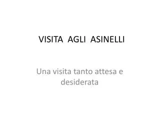 visita agli asinelli