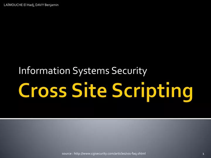 information systems security
