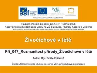 ivo ichov v l t