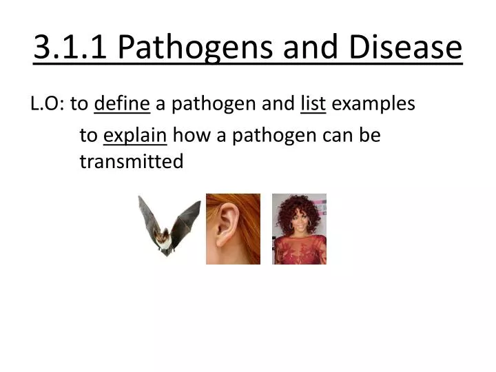 3 1 1 pathogens and disease