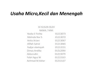 usaha micro kecil dan menengah