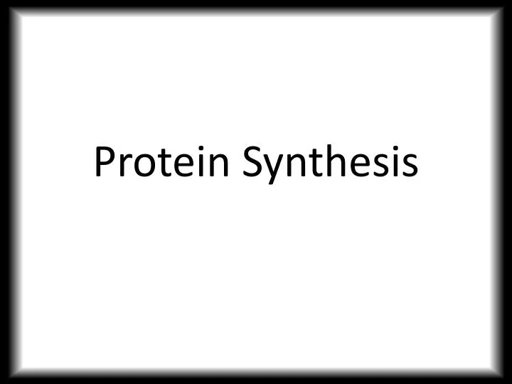 protein synthesis