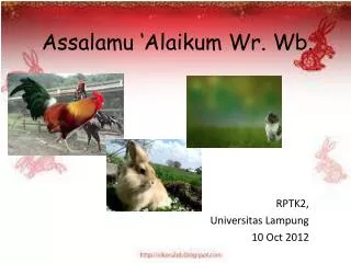 assalamu alaikum wr wb