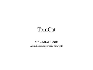 tomcat