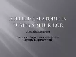 atelier calatorie in lumea simturilor