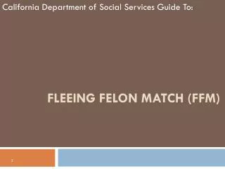 Fleeing Felon Match (FFM)