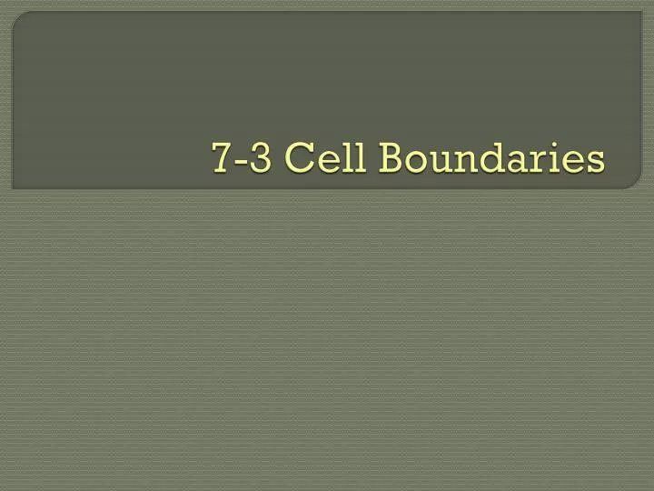 7 3 cell boundaries