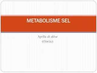 metabolisme sel