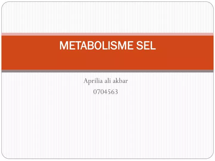 metabolisme sel