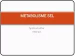METABOLISME SEL - slide 1