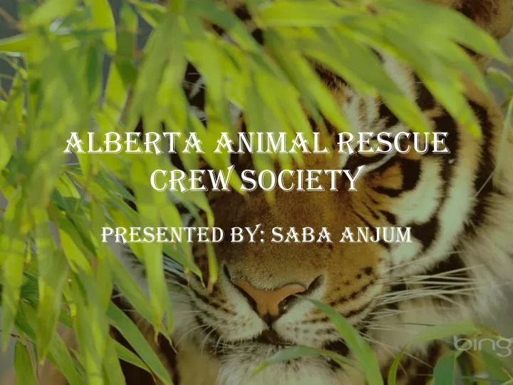 alberta animal rescue crew society