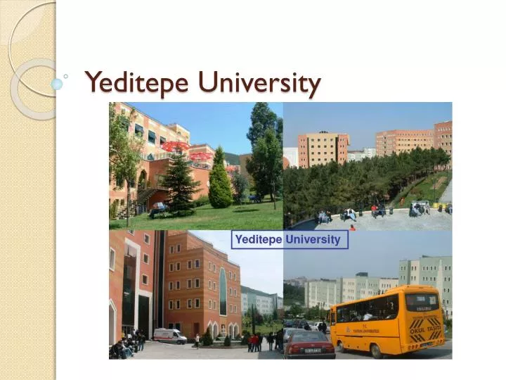 yeditepe university