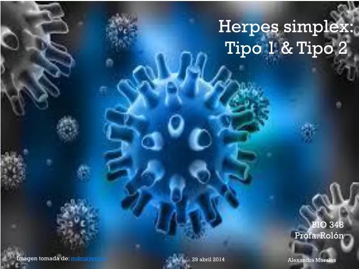 herpes simplex tipo 1 tipo 2