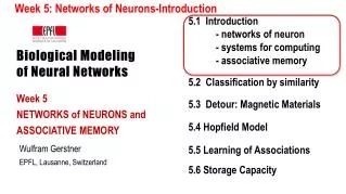 Biological Modeling of Neural Networks