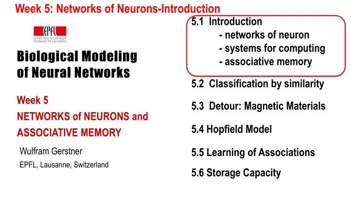 biological modeling of neural networks