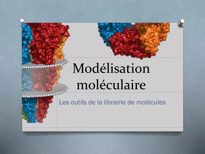 mod lisation mol culaire