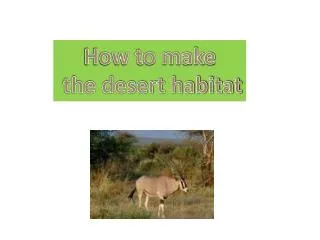 How to make the desert habitat