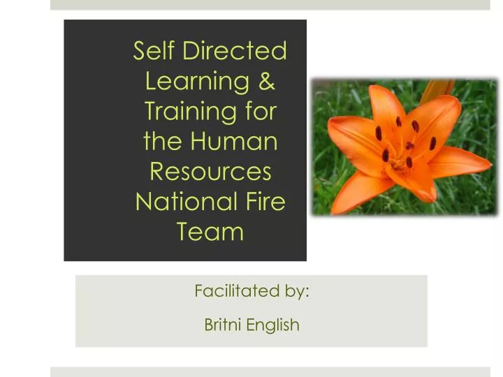 self directed learning training for the human resources national fire team