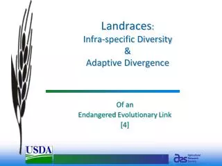 Landraces : Infra-specific Diversity &amp; Adaptive Divergence