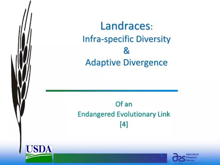 landraces infra specific diversity adaptive divergence