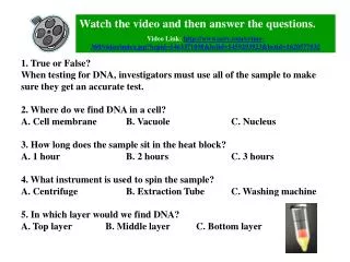 Watch the video and then answer the questions.