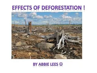 EFFECTS OF DEFORESTATION !