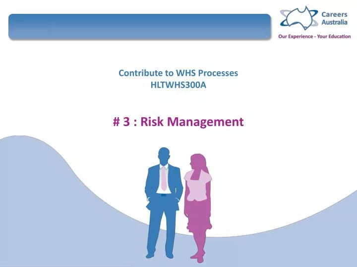 contribute to whs processes hltwhs300a