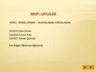 grup leylalar