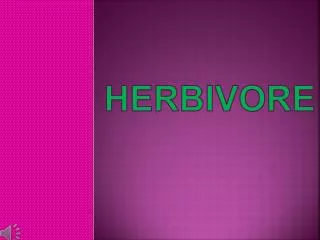 Herbivore