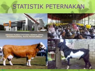 statistik peternakan
