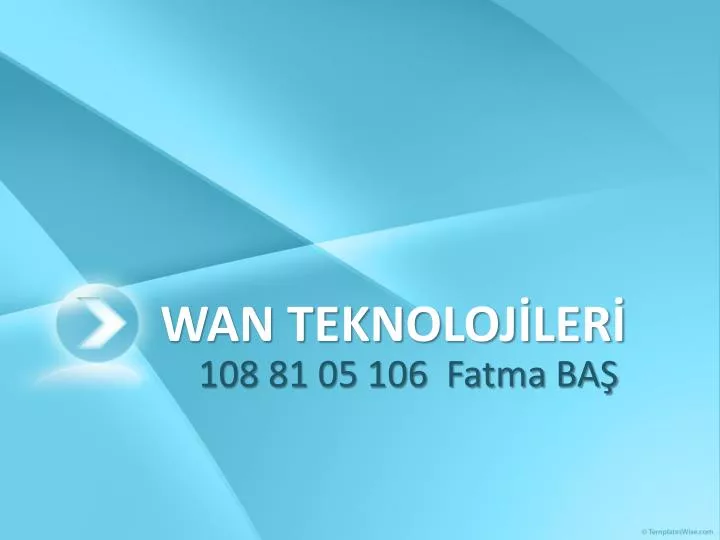 wan teknoloj ler