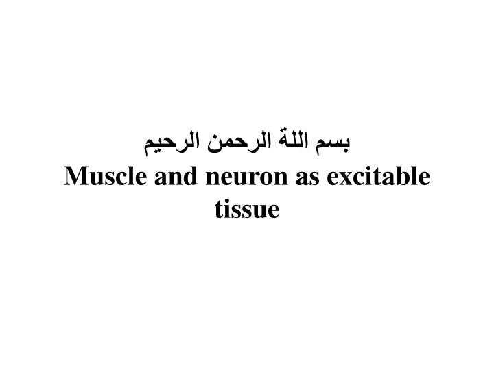 muscle and neuron as excitable tissue