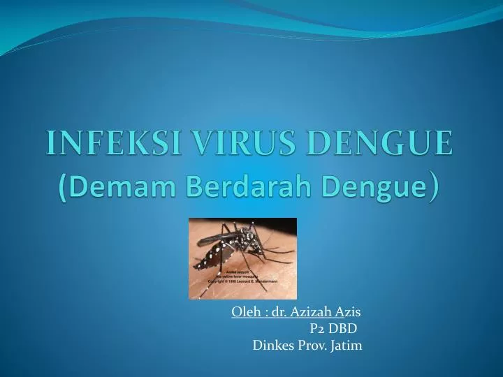 infeksi virus dengue demam berdarah dengue