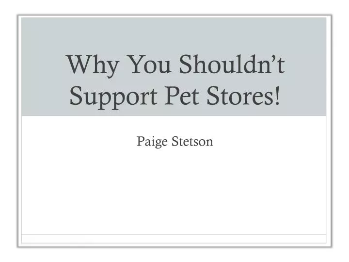 why you shouldn t support pet stores