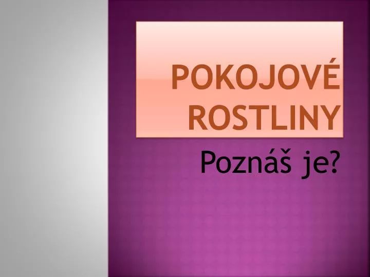 pokojov rostliny