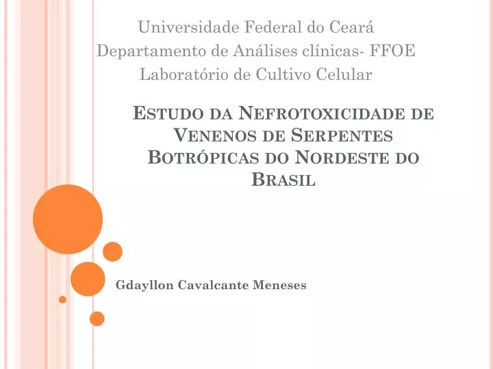 estudo da nefrotoxicidade de venenos de serpentes botr picas do nordeste do brasil