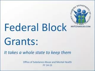 Federal Block Grants: