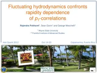 Fluctuating hydrodynamics confronts rapidity dependence of p T -correlations