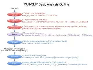 PAR-CLIP Basic Analysis Outline