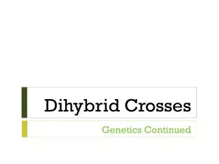 Dihybrid Crosses