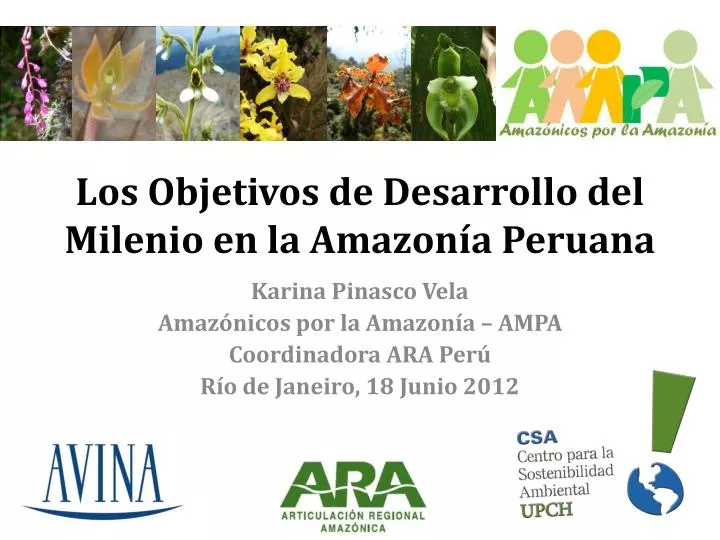 los objetivos de desarrollo del milenio en la amazon a peruana