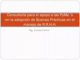 consultor a para el apoyo a las pyme s en la adopci n de buenas pr cticas en el manejo de r r h h