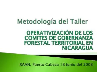 metodolog a del taller